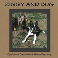 Ziggy and Bug