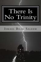 There Is No Trinity