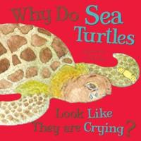 Why Do Sea Turtles Look Like They Are Crying?