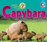 Animals of the Amazon Rainforest: Capybara