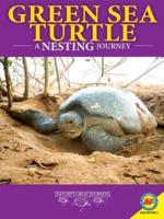 Green Sea Turtles: A Nesting Journey