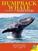 Humpback Whales: A Journey to Warm Waters