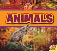 Animals. All About Fall