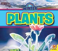 Plants. All About Winter
