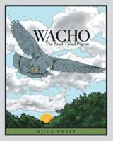 Wacho: The Band-Tailed Pigeon