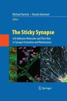The Sticky Synapse : Cell Adhesion Molecules and Their Role in Synapse Formation and Maintenance