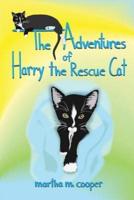 The Adventures of Harry the Rescue Cat