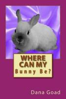 Where Can My Bunny Be?
