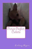 Picture Perfect, Collette