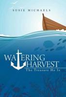 Watering Harvest: The Treasure He Is