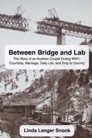 Between Bridge and Lab