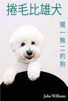 Bichon Frise - Dog in the Unique