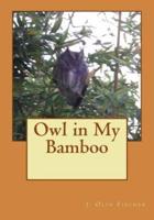 Owl in My Bamboo