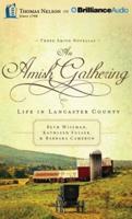 An Amish Gathering