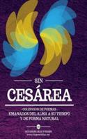 Sin Cesarea