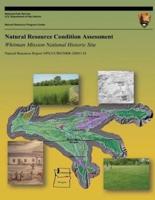 Natural Resource Condition Assessment