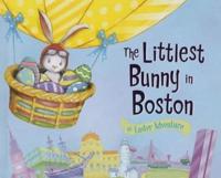 The Littlest Bunny in Boston