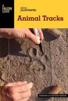 Animal Tracks