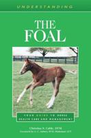 Understanding the Foal