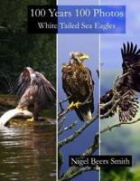 100 Years 100 Photos White Tailed Sea Eagles