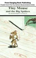 Tiny Mouse and the Big Spiders