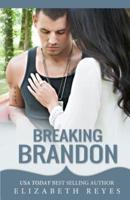 Breaking Brandon