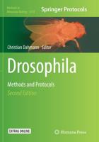 Drosophila : Methods and Protocols