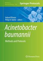 Acinetobacter baumannii : Methods and Protocols