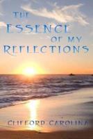 The Essence of My Reflections