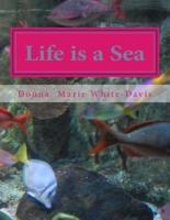 Life Is a Sea