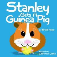 Stanley Gets a Guinea Pig