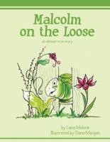 Malcolm on the Loose