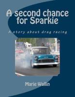 A Second Chance for Sparkie