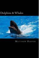 Dolphins & Whales