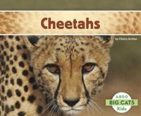 Cheetahs