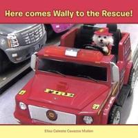 Here Comes Wally to the Rescue!
