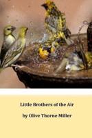 Little Brothers of the Air