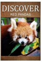 Red Pandas - Discover