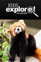 Red Pandas - Kids Explore