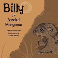 Billy the Banded Mongoose