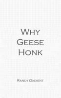 Why Geese Honk