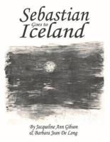 Sebastian Goes to Iceland