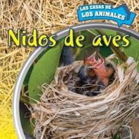 Nidos De Aves (Inside Bird Nests)