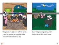 Badger Finds a Home