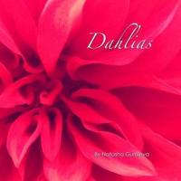 Dahlias