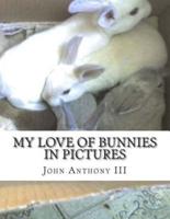 My Love of Bunnies