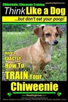 Chiweenie, Chiweenie Training AAA AKC Think Like a Dog...but Don't Eat Your Poop!