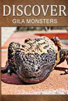 Gila Monsters - Discover