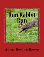 RUN RABBIT RUN by ANNE DEVINA REEVE