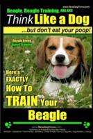 Beagle, Beagle Training AAA AKC